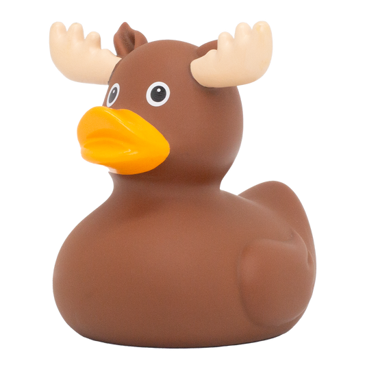Duck Elk