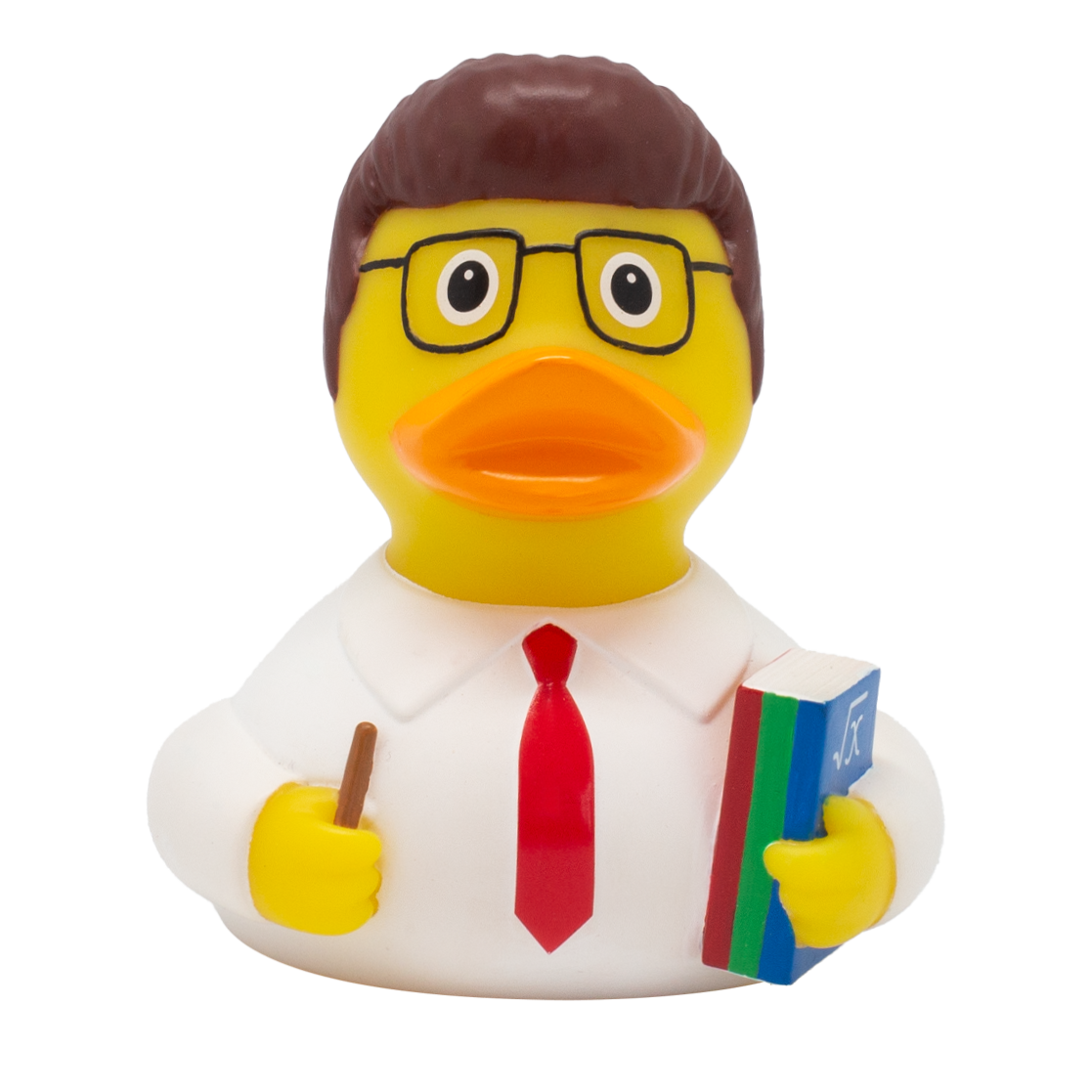 Schoolmaster Duck
