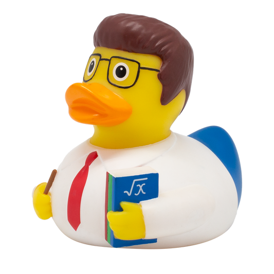 Schoolmaster Duck