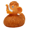 Mammoeteend