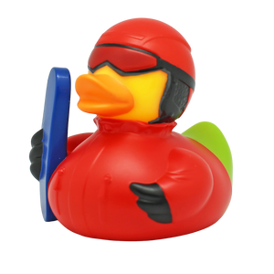 Snowboardende Eend