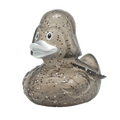 Glanzende donkere Vaduck-eend