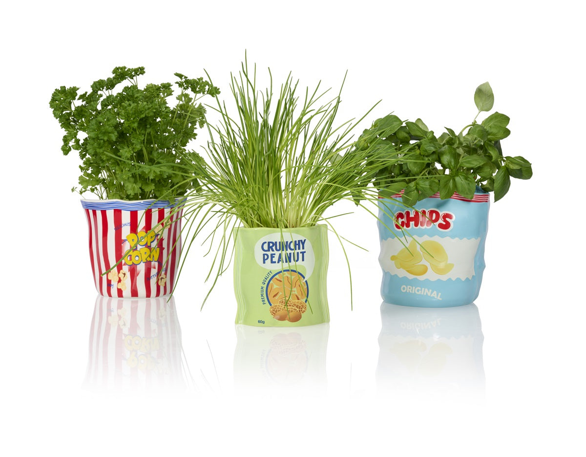 bol sachet de cacahuetes bitten