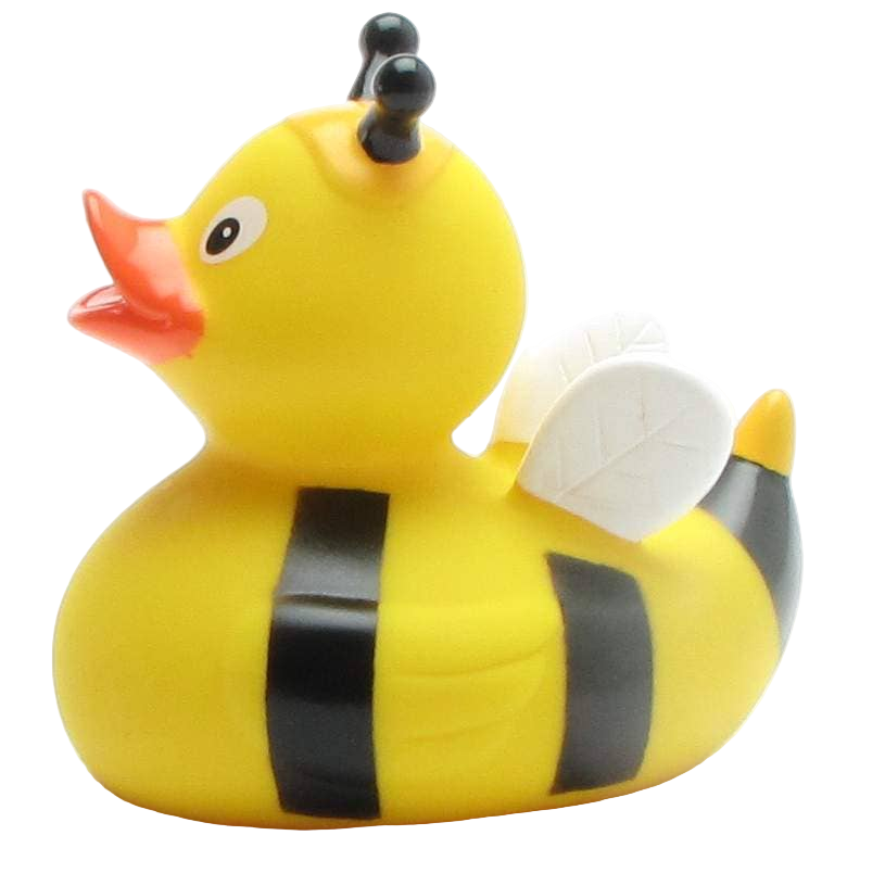 Canard Abeille
