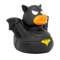 Eend Dark Wing
