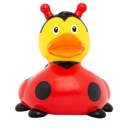 Canard Coccinelle Nouvelle Version Lilalu - vue 1