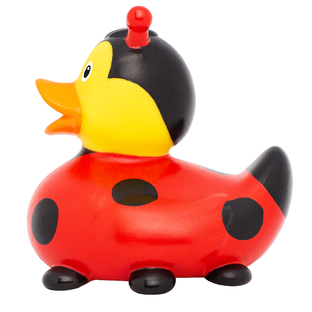 Ente Marienkäfer Neue Version