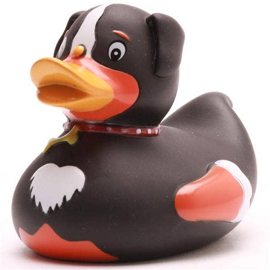 Canard Chien