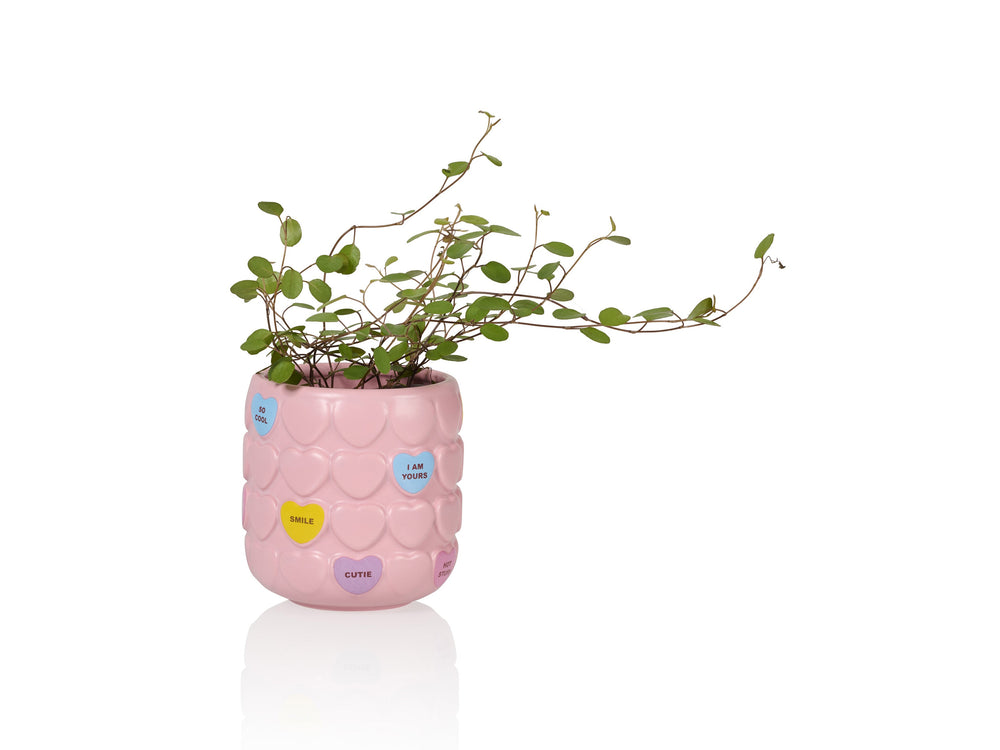 Mug Sweet Heart Rose