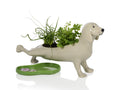 Pot de Fleur Peeing Dog