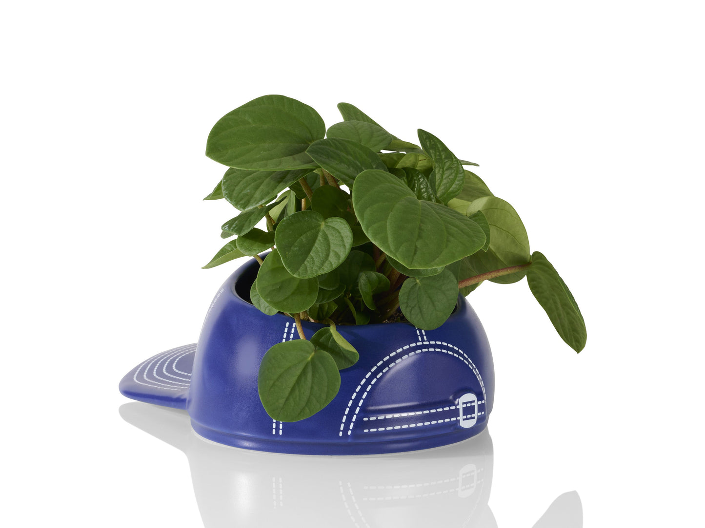 Bol Casquette de Baseball "BaseBowl Cap" Bitten – Bol décoratif original