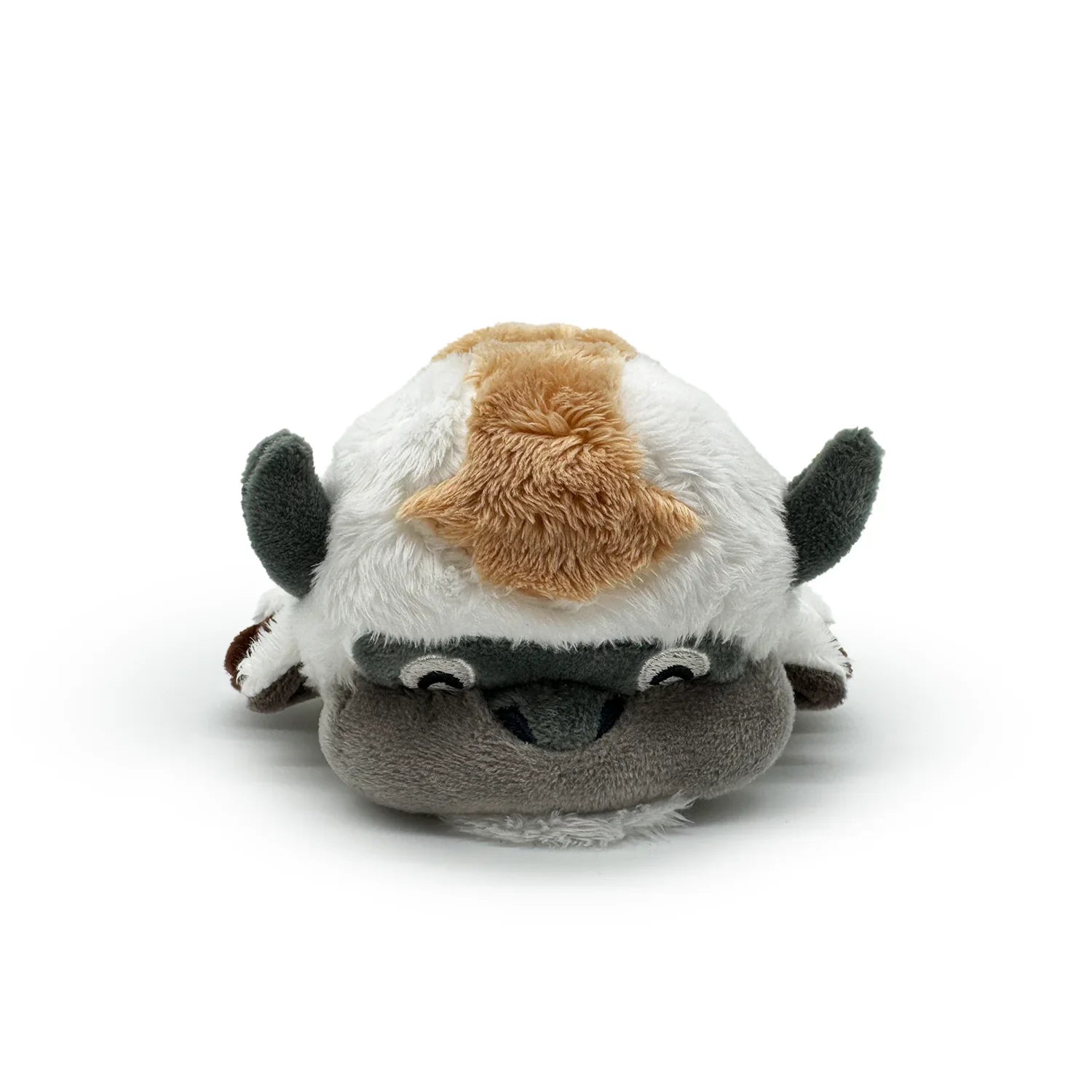 Appa
