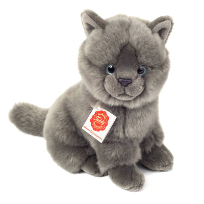Sitting Chartreux Kitten Plush Toy