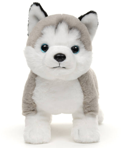 Peluche Husky gris, debout
