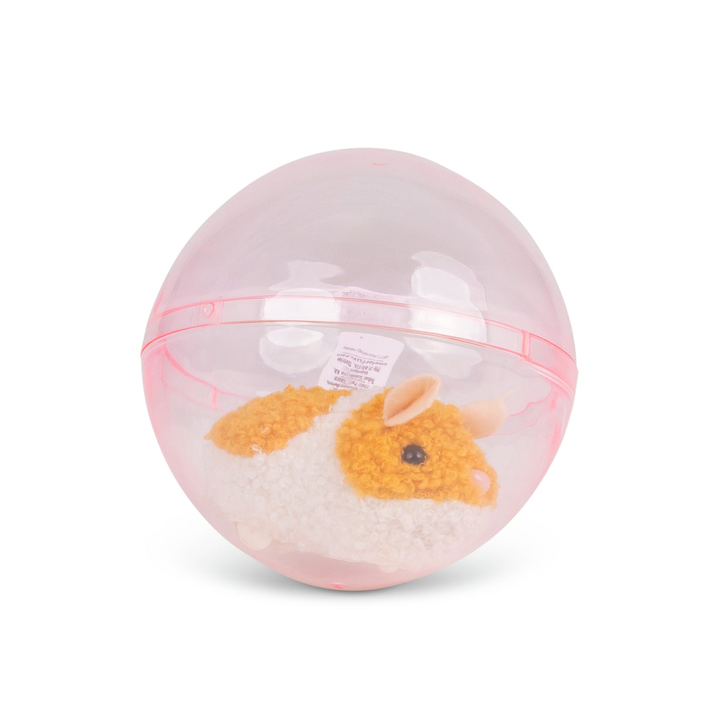 HAMSTER COURANT ANIMIGOS