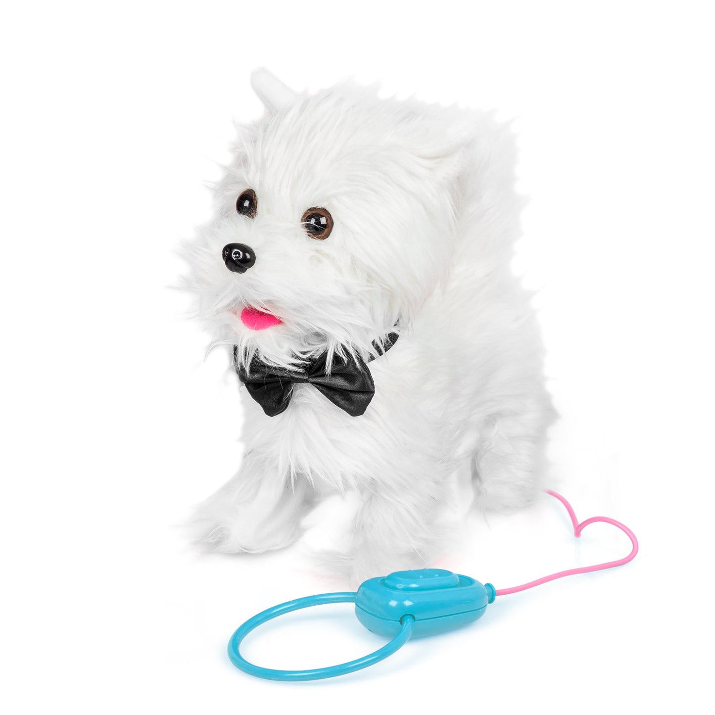 ANIMIGOS PROMENANT UN CHIEN WESTIE