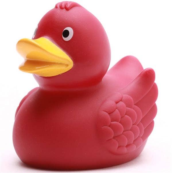 Duck with wings Bordeaux