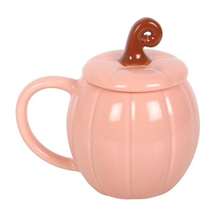 Pink Autumn Pumpkin Mug with Lid