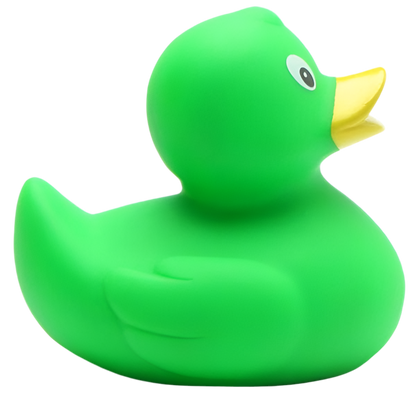 canard classique vert