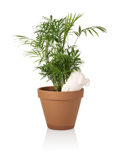 arroseur autonome lapin bunny bitten