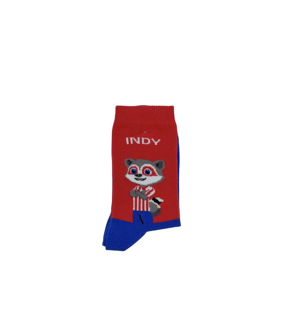 Chaussettes Atlético de Madrid « INDI Y MADI »