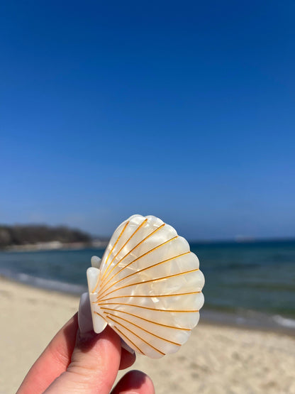 Pince à cheveux Coquillage violet pailleté