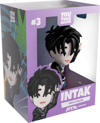 Intake