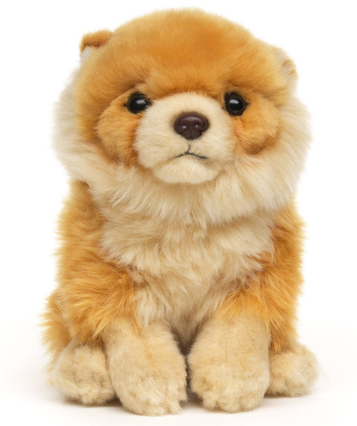 Pomeranian plush toy