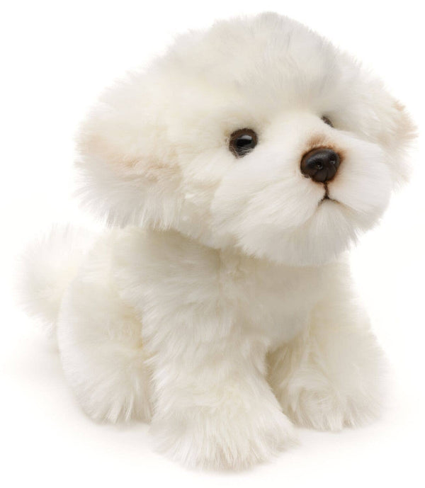 Peluche chien maltais Uni Toys