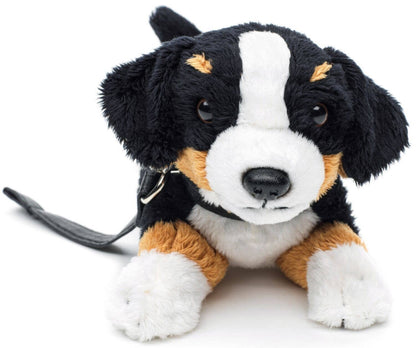 Reclining Bernese Mountain Dog plush toy (with leash)