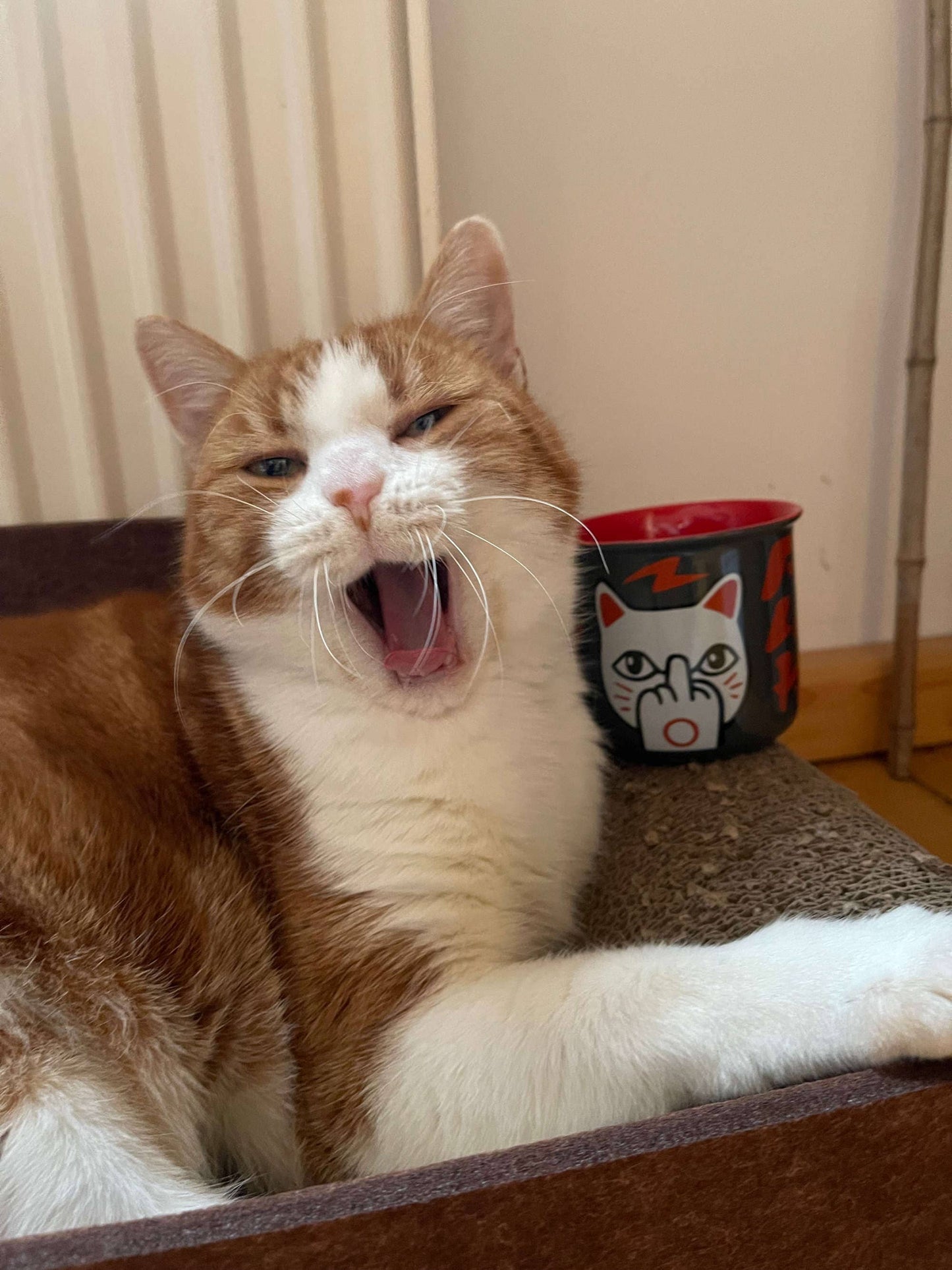 Mug Chat Chanceux « F**k You Neko »