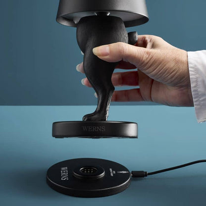 Lampe de table LED Lapin Hiding Rabbit, Noir