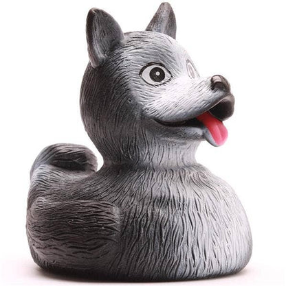 Canard Husky