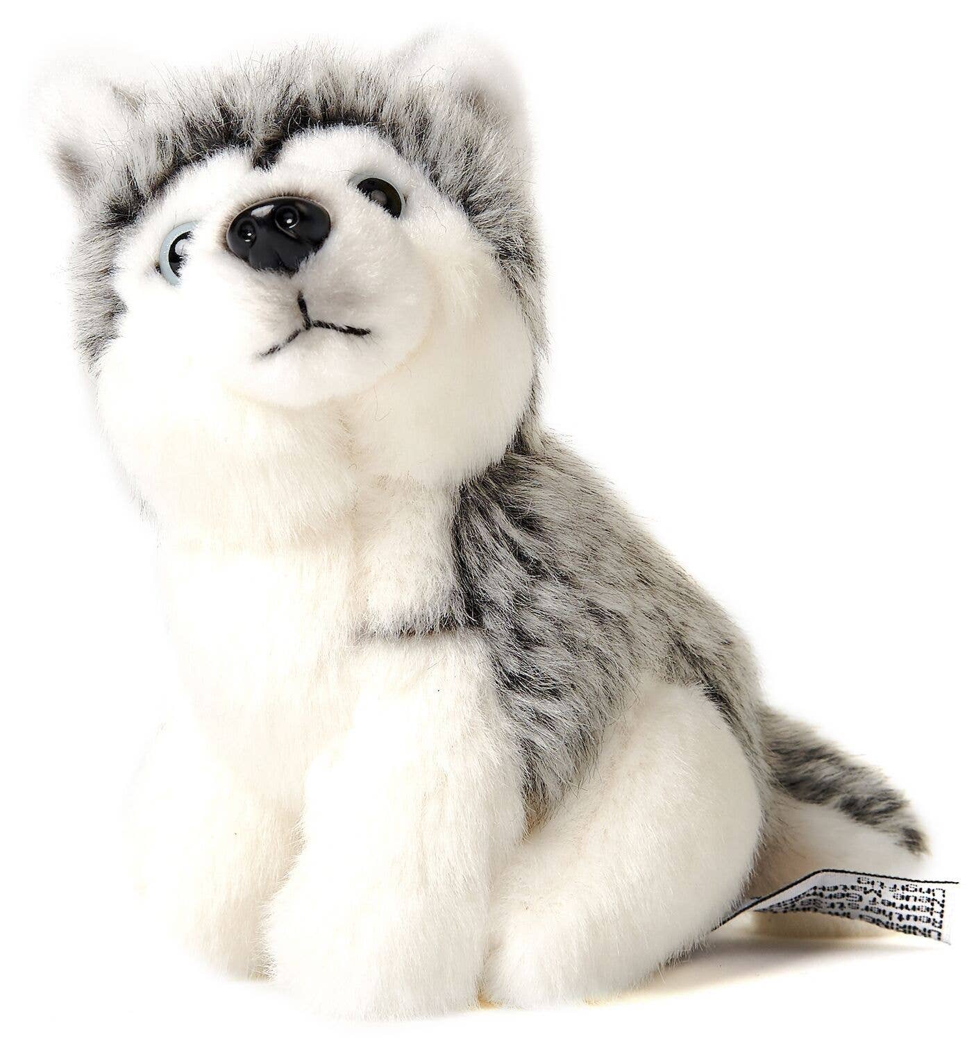 Peluche Husky, assis