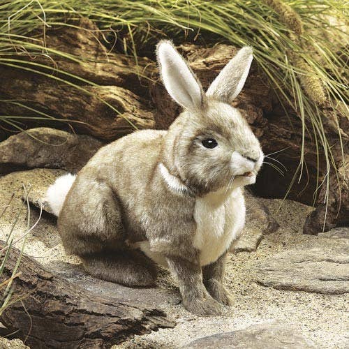 American Rabbit Hand Puppet