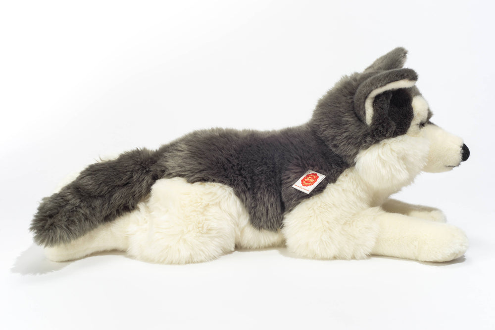 Grande Peluche Husky Couché – 60 cm