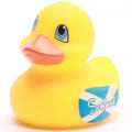 Mini Duck Schotland