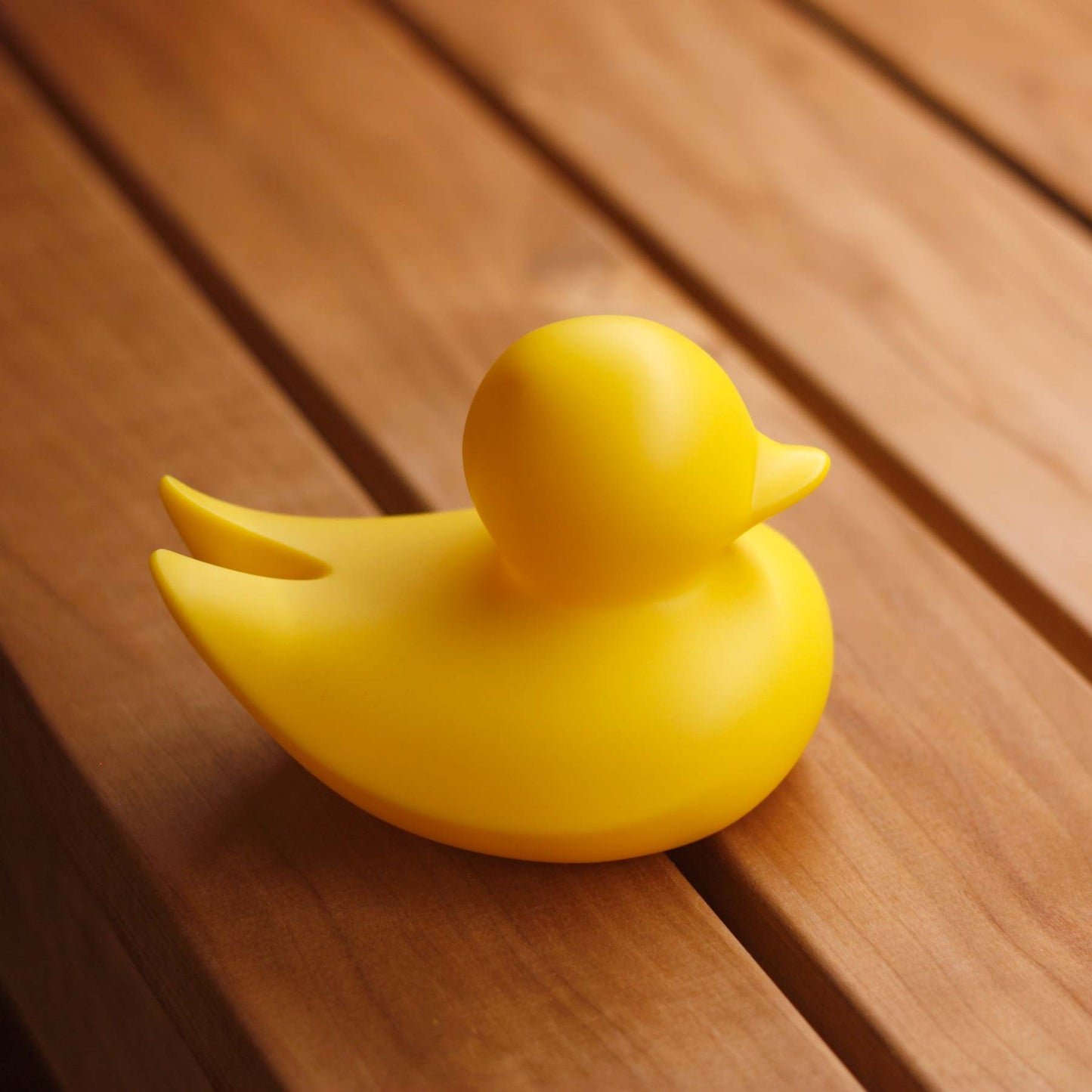 Minimalist Duck