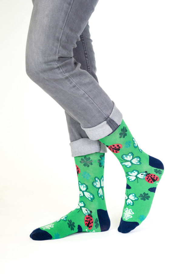 Clover and Ladybug Socks