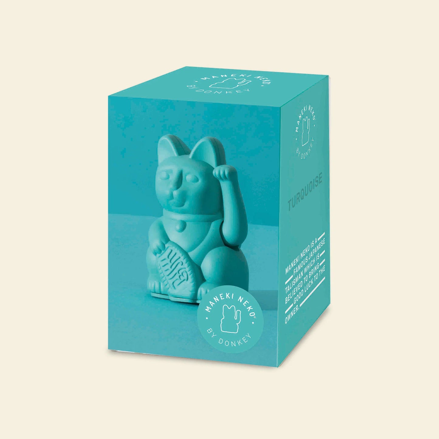 Turquoise mini chat