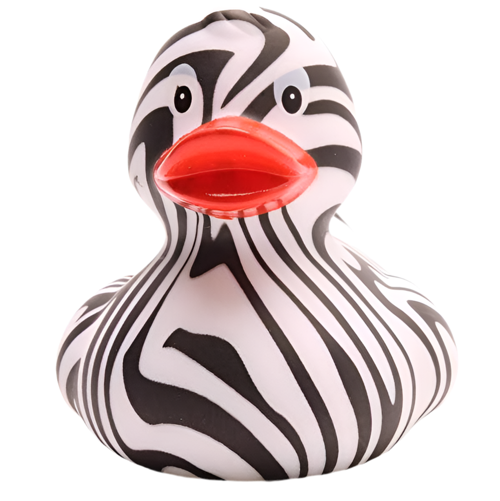 Zebra duck