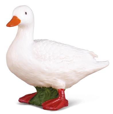 COLLECTA