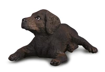 Labradorpuppy - (S)