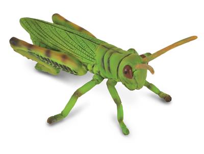 Collecta Insectes (M): SAUTERELLE 8.2x5.5cm