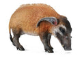 Figuur Potamochère - (L)