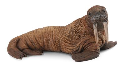 Figurine Morse - (L)