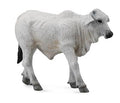 Figure Veau Brahmane - (S)