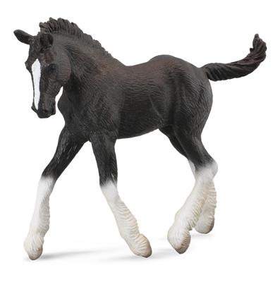 Zwarte Shire-paardenhengst - (M)