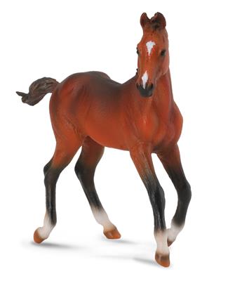 Quarter Horse hengstveulen - (M)