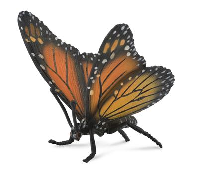 Monarchvlinder - (L)